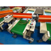 Conveyor Virginio Nastri Powered Conveyor L7