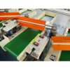 Conveyor Virginio Nastri Powered Conveyor A4